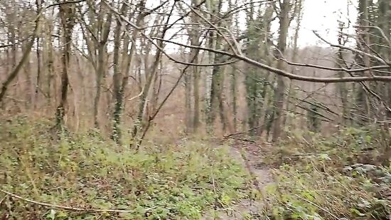 Ходили с подругой по парку и захотели кончить прямо на улице