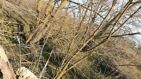 Сделала минет и дала в анал прямо на улице с густой спермой на лицо