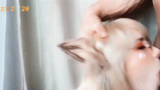 Свит Фокси сосет член соседу и кушает сперму